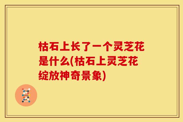 枯石上长了一个灵芝花是什么(枯石上灵芝花绽放神奇景象)