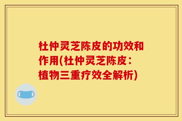 杜仲灵芝陈皮的功效和作用(杜仲灵芝陈皮:植物三重疗效全解析)