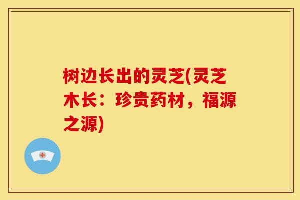 树边长出的灵芝(灵芝木长:珍贵药材,福源之源)