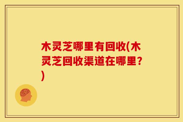 木灵芝哪里有回收(木灵芝回收渠道在哪里？)
