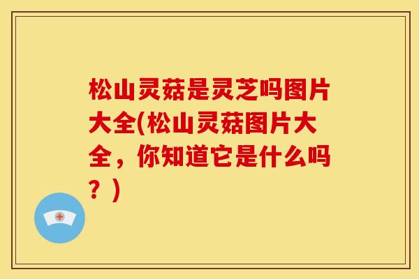 松山灵菇是灵芝吗图片大全(松山灵菇图片大全，你知道它是什么吗？)