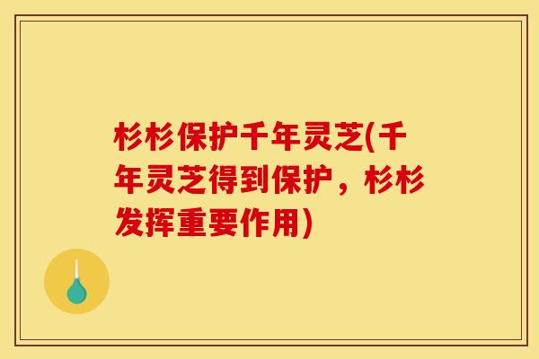 杉杉保护千年灵芝(千年灵芝得到保护,杉杉发挥重要作用)