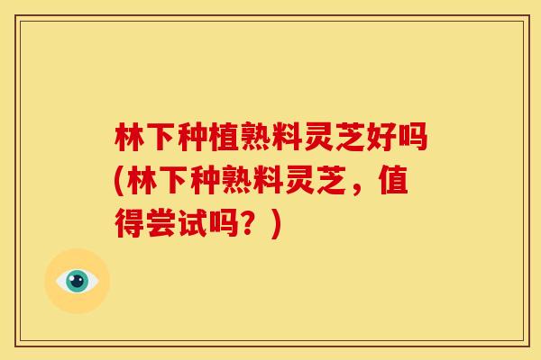 林下种植熟料灵芝好吗(林下种熟料灵芝,值得尝试吗?)