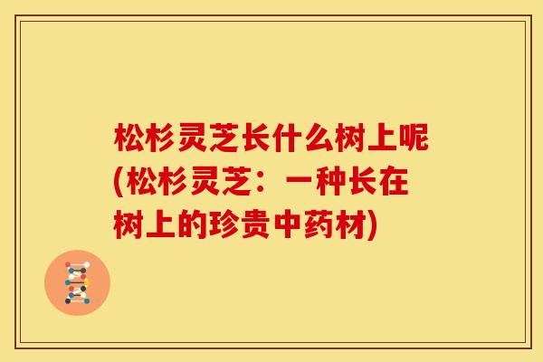松杉灵芝长什么树上呢(松杉灵芝:一种长在树上的珍贵中药材)