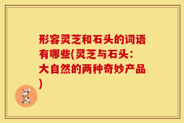 形容灵芝和石头的词语有哪些(灵芝与石头:大自然的两种奇妙产品)