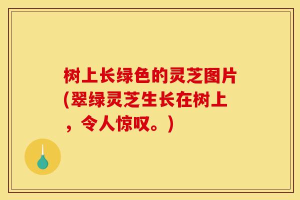 树上长绿色的灵芝图片(翠绿灵芝生长在树上，令人惊叹。)