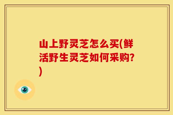 山上野灵芝怎么买(鲜活野生灵芝如何采购？)