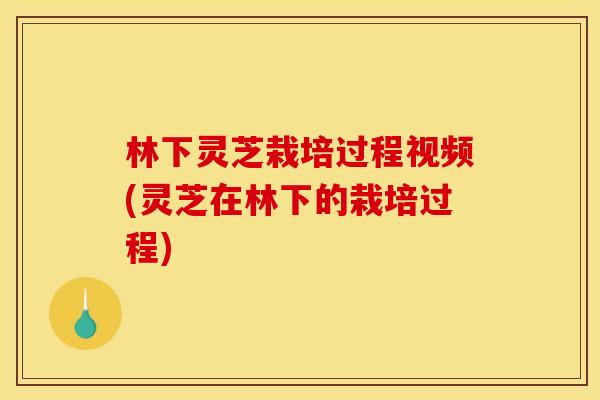 林下灵芝栽培过程视频(灵芝在林下的栽培过程)