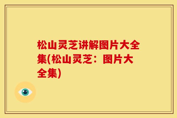 松山灵芝讲解图片大全集(松山灵芝：图片大全集)