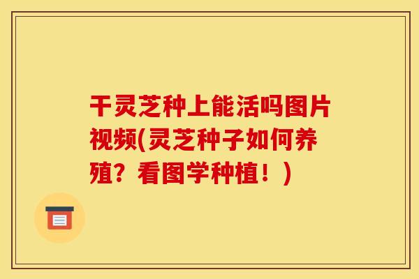 干灵芝种上能活吗图片视频(灵芝种子如何养殖？看图学种植！)