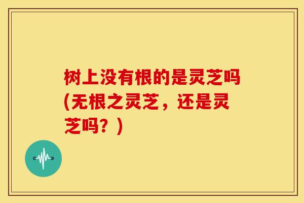 树上没有根的是灵芝吗(无根之灵芝,还是灵芝吗?)