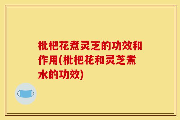 枇杷花煮灵芝的功效和作用(枇杷花和灵芝煮水的功效)