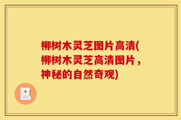 柳树木灵芝图片高清(柳树木灵芝高清图片,神秘的自然奇观)