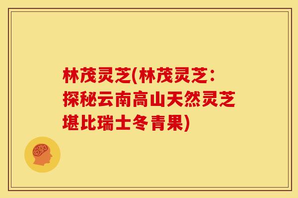 林茂灵芝(林茂灵芝:探秘云南高山天然灵芝堪比瑞士冬青果)