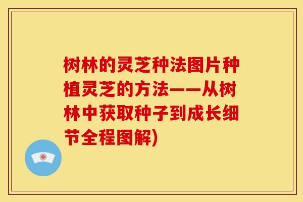 树林的灵芝种法图片种植灵芝的方法——从树林中获取种子到成长细节全程图解)