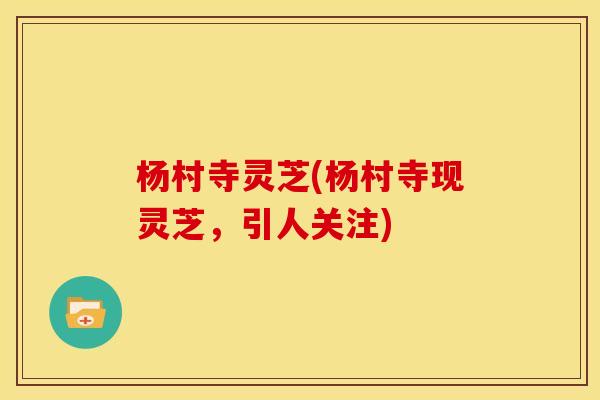 杨村寺灵芝(杨村寺现灵芝,引人关注)