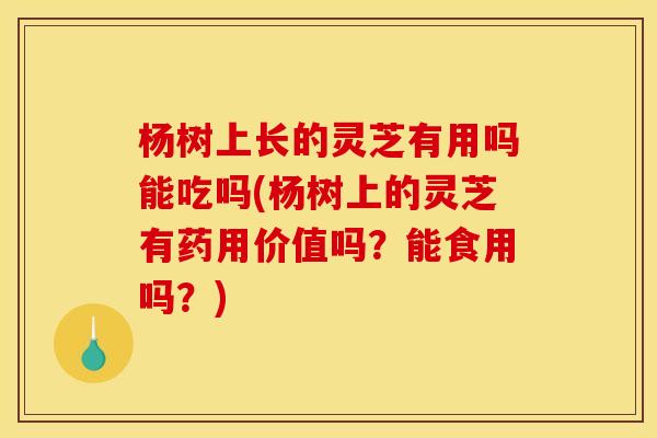 杨树上长的灵芝有用吗能吃吗(杨树上的灵芝有药用价值吗?能食用吗?)