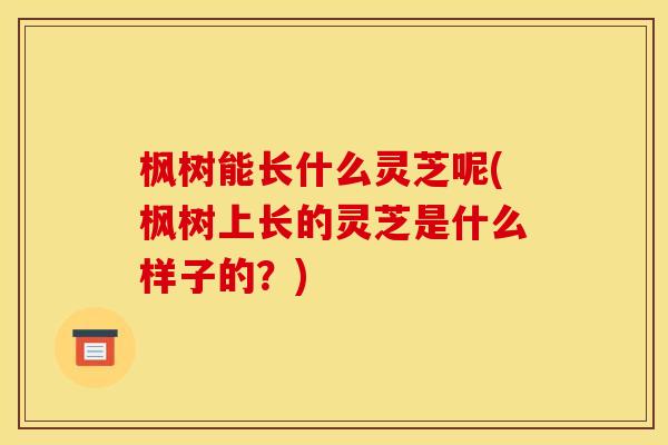 枫树能长什么灵芝呢(枫树上长的灵芝是什么样子的？)