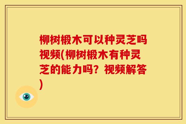 柳树椴木可以种灵芝吗视频(柳树椴木有种灵芝的能力吗?视频解答)