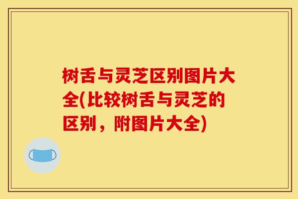 树舌与灵芝区别图片大全(比较树舌与灵芝的区别,附图片大全)