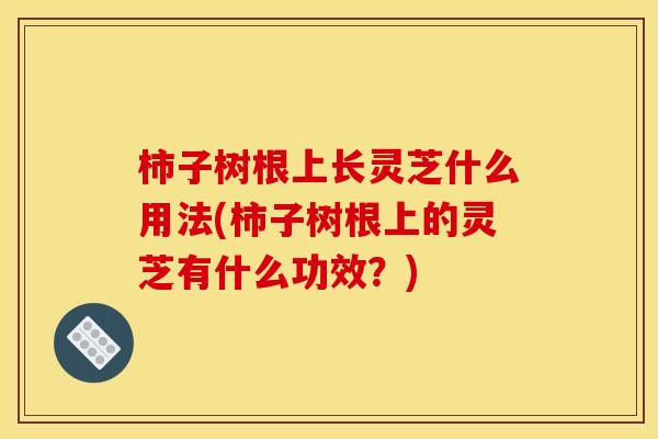 柿子树根上长灵芝什么用法(柿子树根上的灵芝有什么功效？)