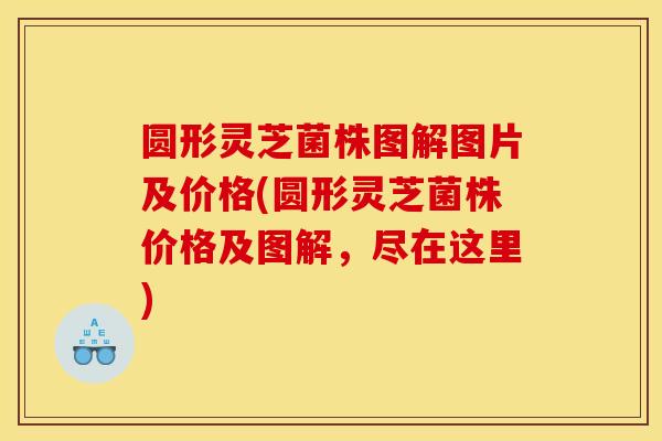 圆形灵芝菌株图解图片及价格(圆形灵芝菌株价格及图解,尽在这里)
