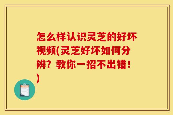 怎么样认识灵芝的好坏视频(灵芝好坏如何分辨?教你一招不出错!)