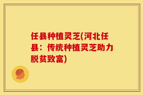 任县种植灵芝(河北任县:传统种植灵芝助力脱贫致富)