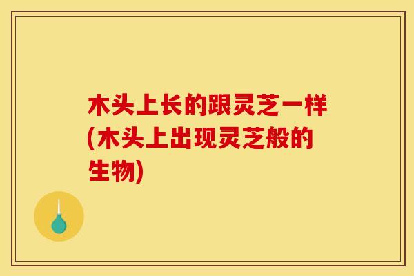 木头上长的跟灵芝一样(木头上出现灵芝般的生物)