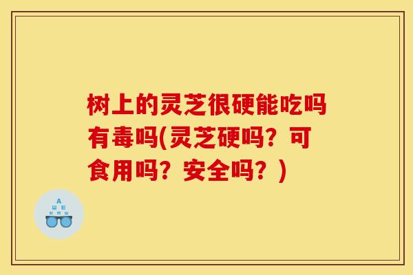 树上的灵芝很硬能吃吗有毒吗(灵芝硬吗？可食用吗？安全吗？)
