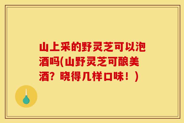 山上采的野灵芝可以泡酒吗(山野灵芝可酿美酒?晓得几样口味!)
