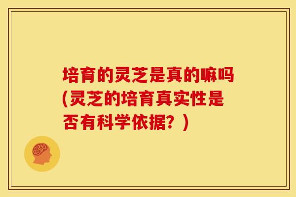 培育的灵芝是真的嘛吗(灵芝的培育真实性是否有科学依据?)
