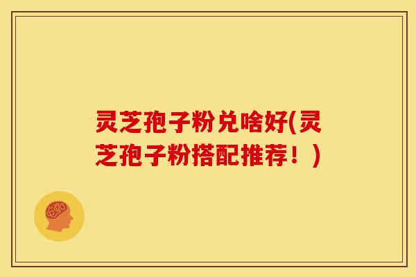 灵芝孢子粉兑啥好(灵芝孢子粉搭配推荐!)