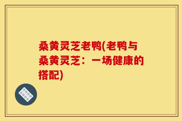 桑黄灵芝老鸭(老鸭与桑黄灵芝:一场健康的搭配)