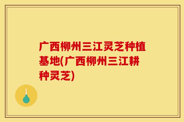 广西柳州三江灵芝种植基地(广西柳州三江耕种灵芝)