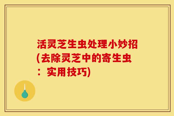 活灵芝生虫处理小妙招(去除灵芝中的寄生虫：实用技巧)