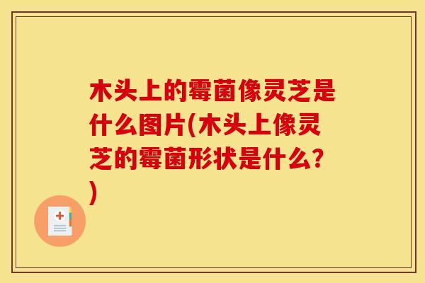 木头上的霉菌像灵芝是什么图片(木头上像灵芝的霉菌形状是什么？)