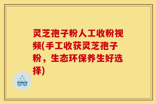 灵芝孢子粉人工收粉视频(手工收获灵芝孢子粉,生态环保养生好选择)