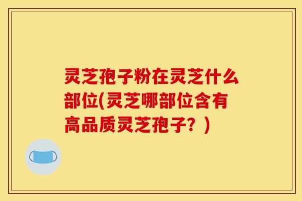 灵芝孢子粉在灵芝什么部位(灵芝哪部位含有高品质灵芝孢子?)