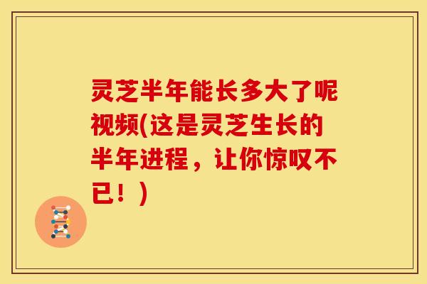 灵芝半年能长多大了呢视频(这是灵芝生长的半年进程,让你惊叹不已!)