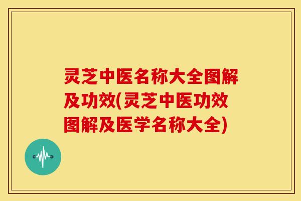 灵芝中医名称大全图解及功效(灵芝中医功效图解及医学名称大全)