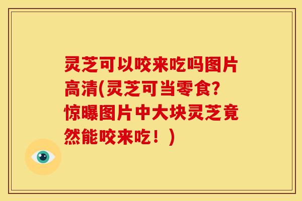 灵芝可以咬来吃吗图片高清(灵芝可当零食?惊曝图片中大块灵芝竟然能咬来吃!)