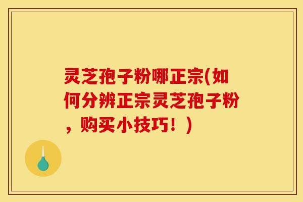 灵芝孢子粉哪正宗(如何分辨正宗灵芝孢子粉,购买小技巧!)
