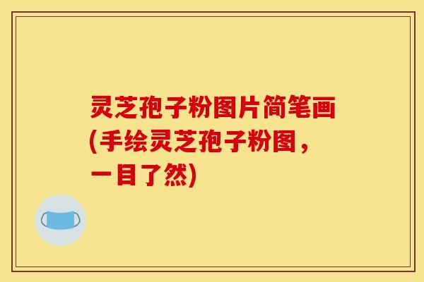 灵芝孢子粉图片简笔画(手绘灵芝孢子粉图,一目了然)
