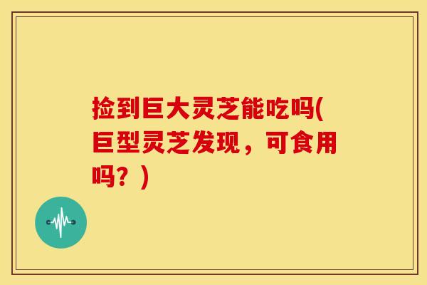 捡到巨大灵芝能吃吗(巨型灵芝发现,可食用吗?)