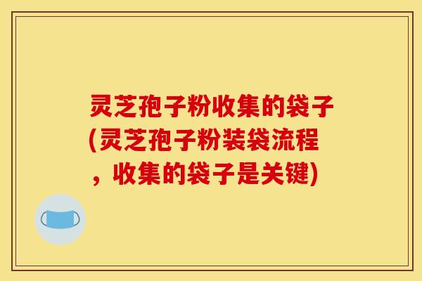 灵芝孢子粉收集的袋子(灵芝孢子粉装袋流程,收集的袋子是关键)