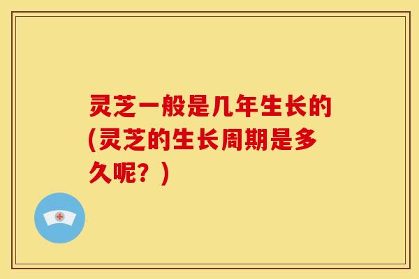灵芝一般是几年生长的(灵芝的生长周期是多久呢?)