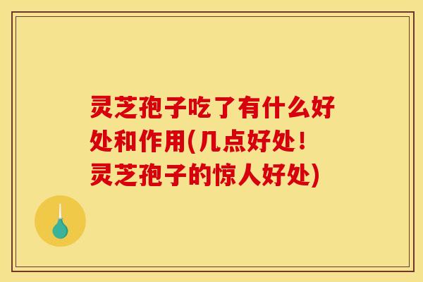 灵芝孢子吃了有什么好处和作用(几点好处!灵芝孢子的惊人好处)
