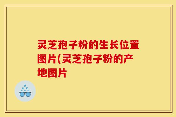 灵芝孢子粉的生长位置图片(灵芝孢子粉的产地图片