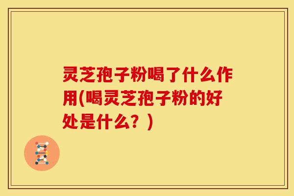 灵芝孢子粉喝了什么作用(喝灵芝孢子粉的好处是什么？)